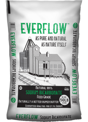 Bicarbonate de soude poudre Alimentaire HELVET 0.475